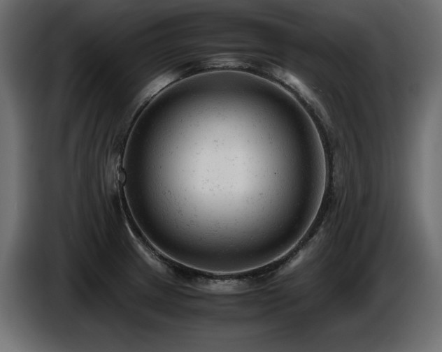 X0000087671233200705041004