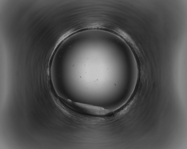 X0000087671234200705041004