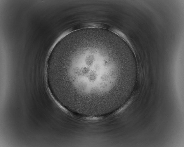 X0000087671235200705041004