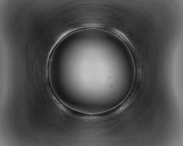 X0000087671236200705041004