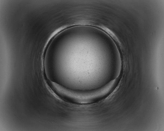 X0000087671238200705041004