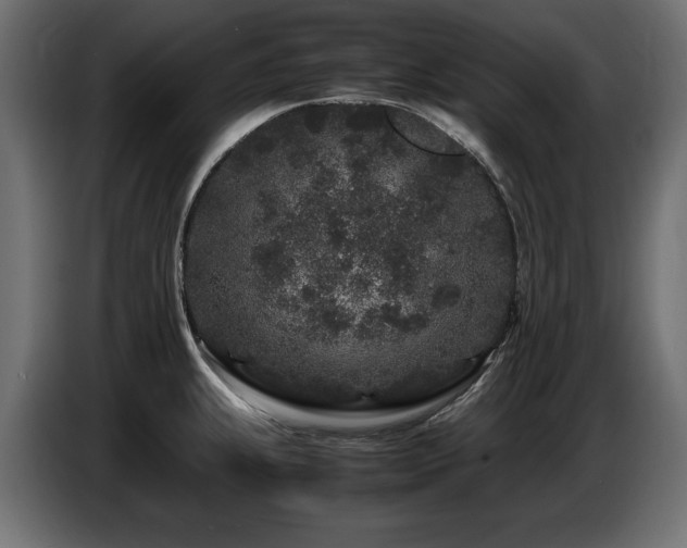 X0000087671239200705041005