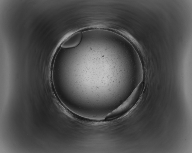 X0000087671240200705041005