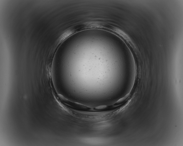 X0000087671241200705041005