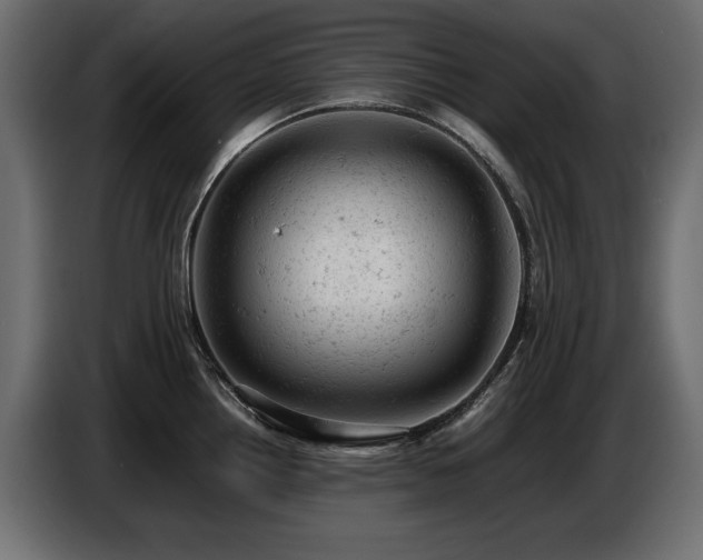 X0000087671242200705041005