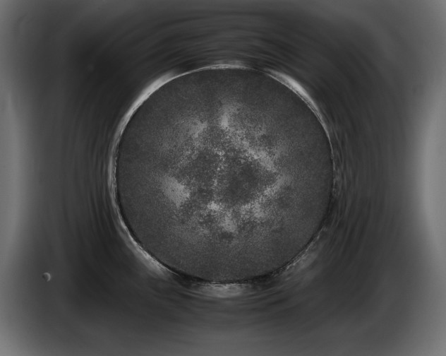 X0000087671243200705041005