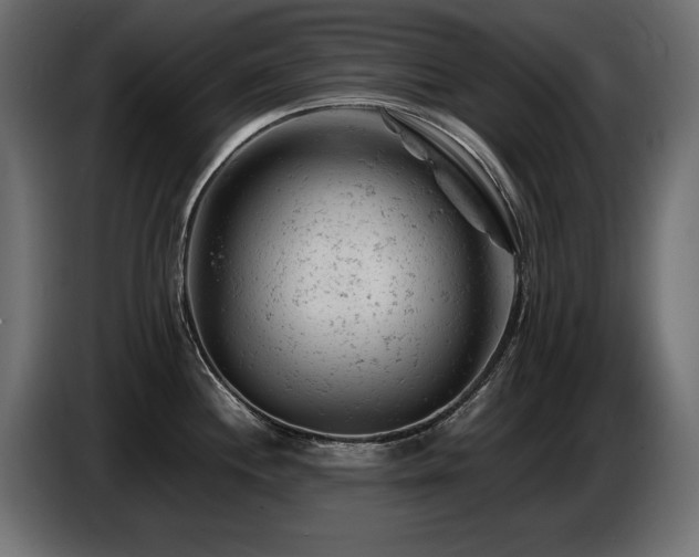 X0000087671244200705041005