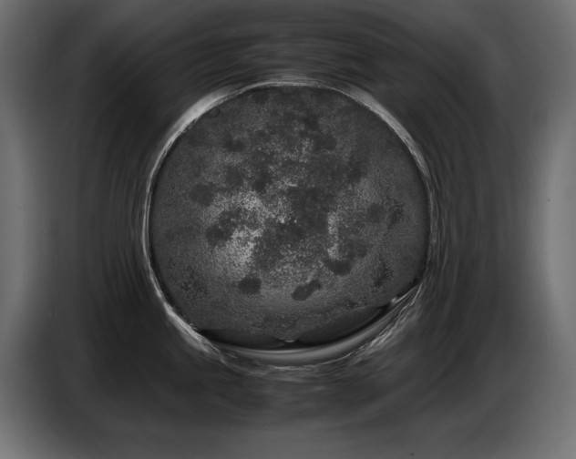 X0000087671245200705041005