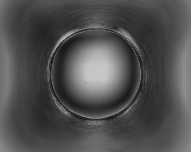 X0000087671246200705041005