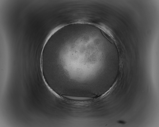 X0000087671247200705041005