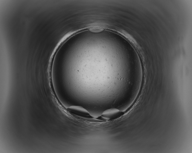 X0000087671248200705041005