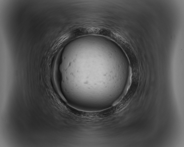 X0000087671249200705041004