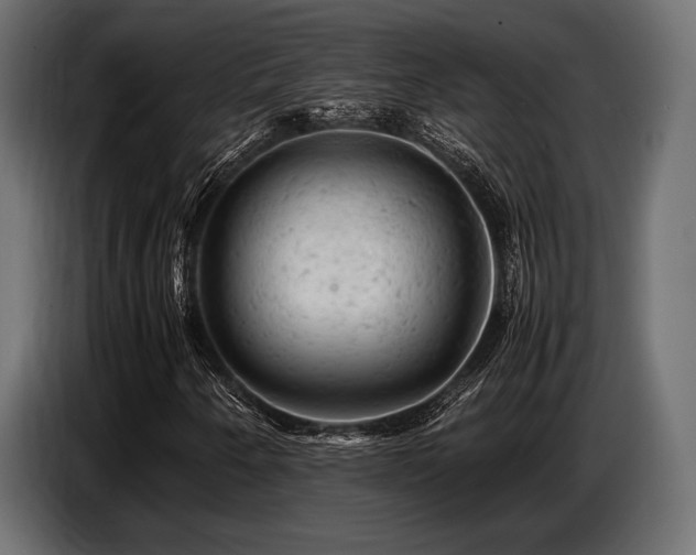 X0000087671250200705041004