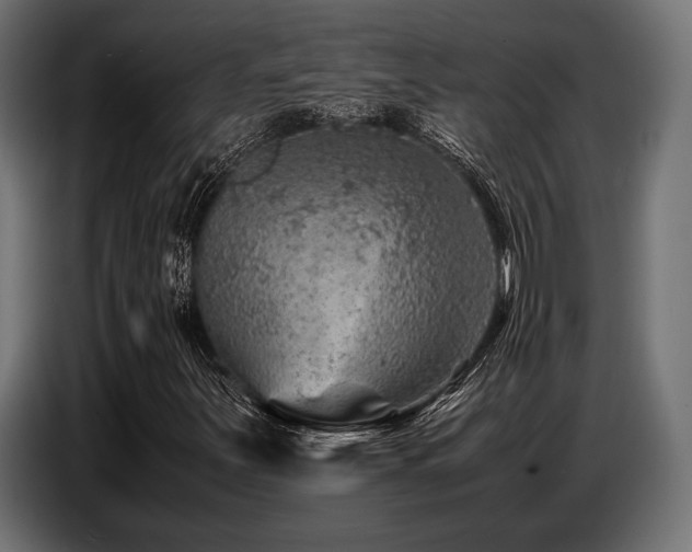 X0000087671251200705041004