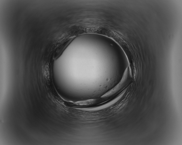 X0000087671252200705041004