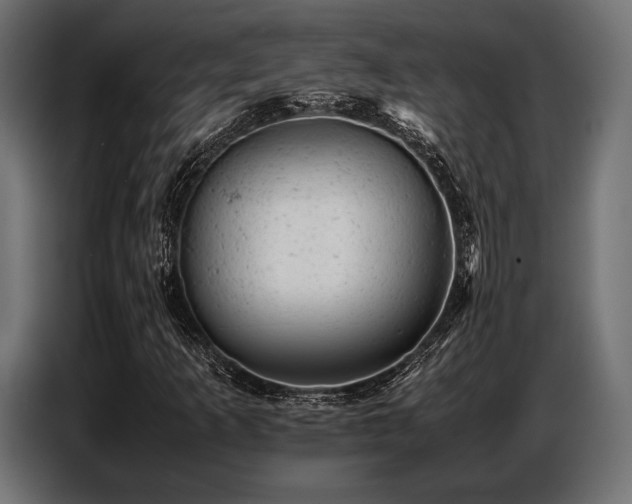 X0000087671253200705041004