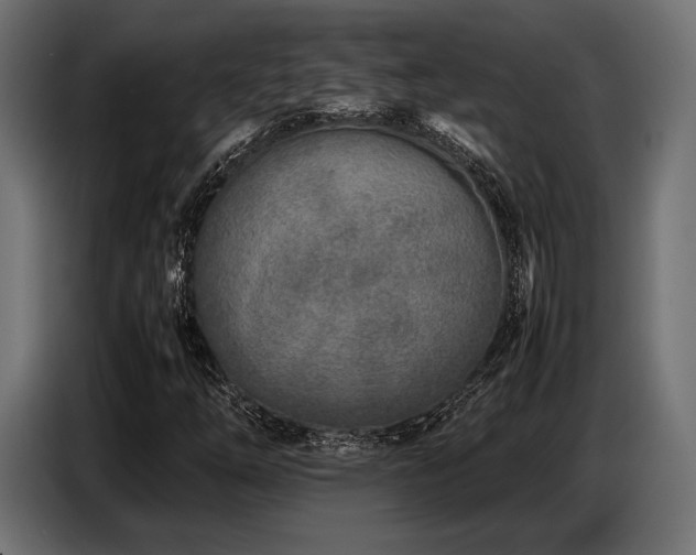 X0000087671254200705041004