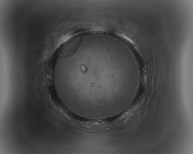 X0000087671255200705041004