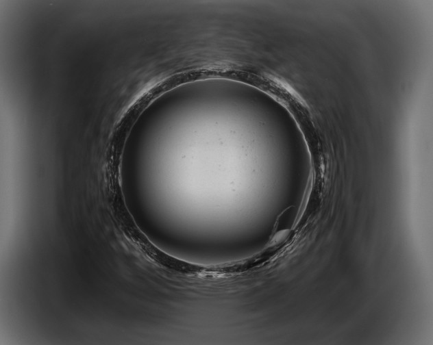 X0000087671256200705041004