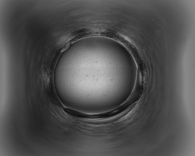 X0000087671257200705041004