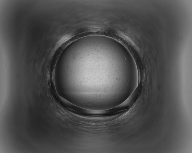 X0000087671261200705041004