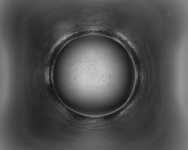 X0000087671262200705041004