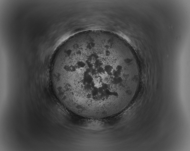 X0000087671263200705041004