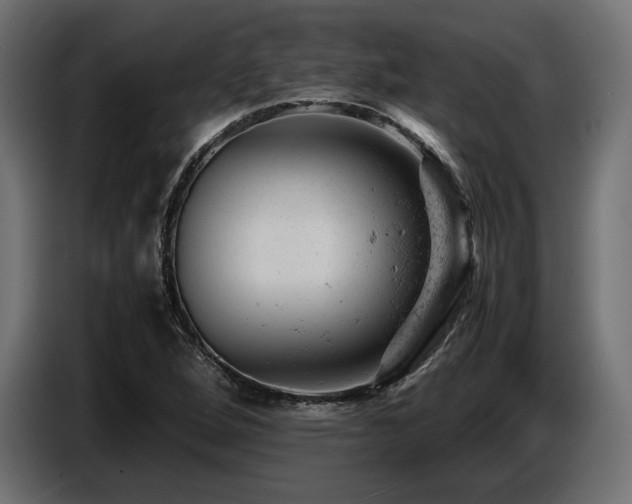 X0000087671264200705041004