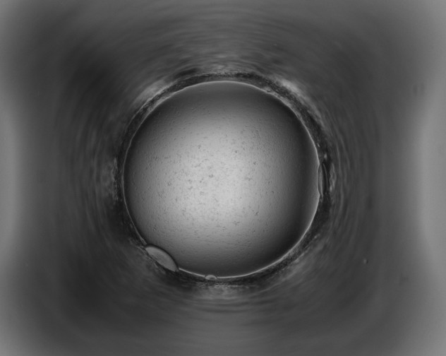 X0000087671265200705041004