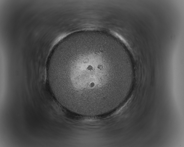 X0000087671267200705041004