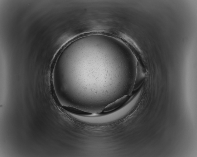 X0000087671268200705041004