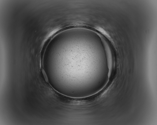 X0000087671269200705041004