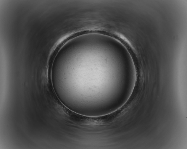 X0000087671270200705041004