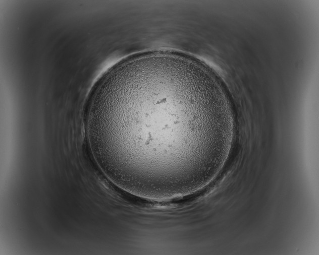 X0000087671271200705041004