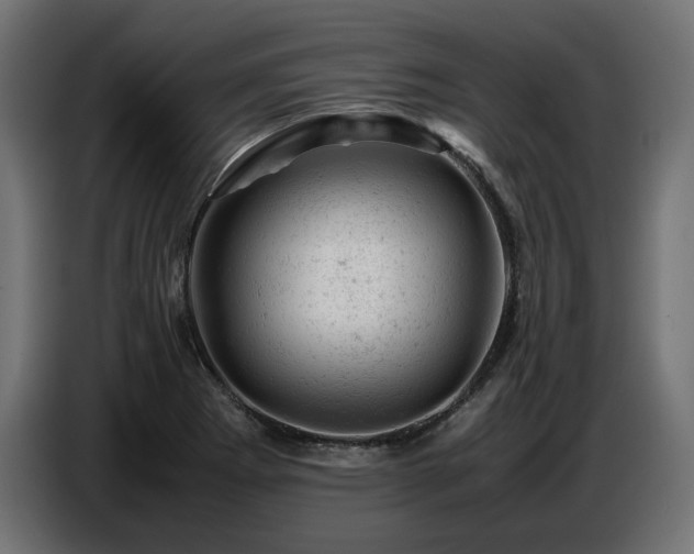 X0000087671273200705041004