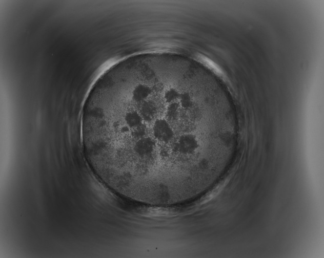 X0000087671275200705041004