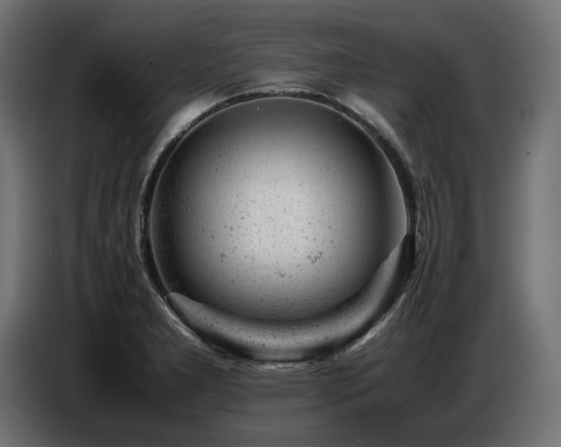 X0000087671277200705041004