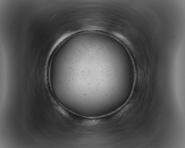 X0000087671278200705041004