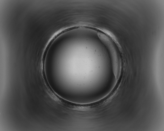 X0000087671280200705041004