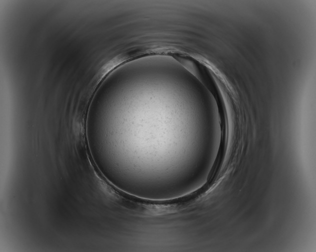 X0000087671281200705041004