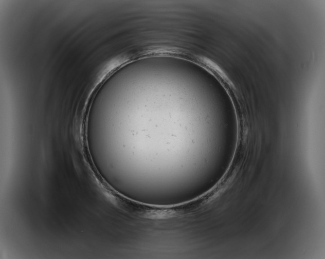 X0000087671282200705041004