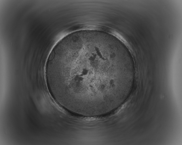 X0000087671283200705041004