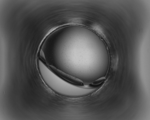 X0000087671284200705041004