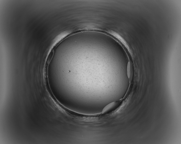 X0000087671285200705041004