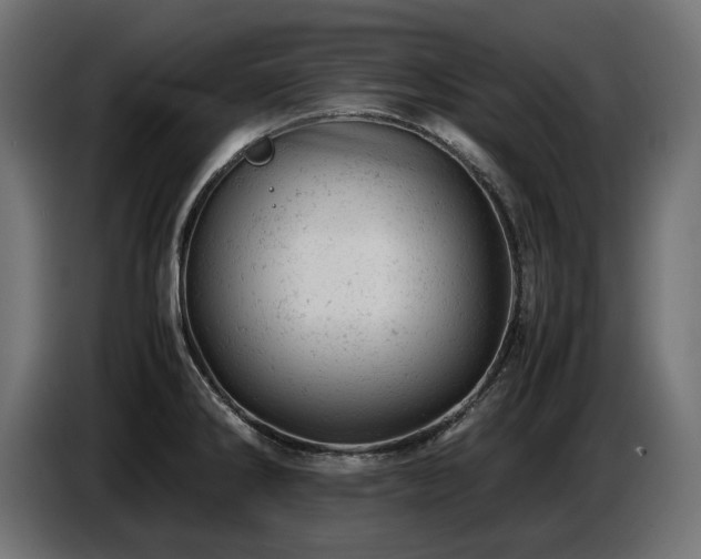 X0000087671286200705041004