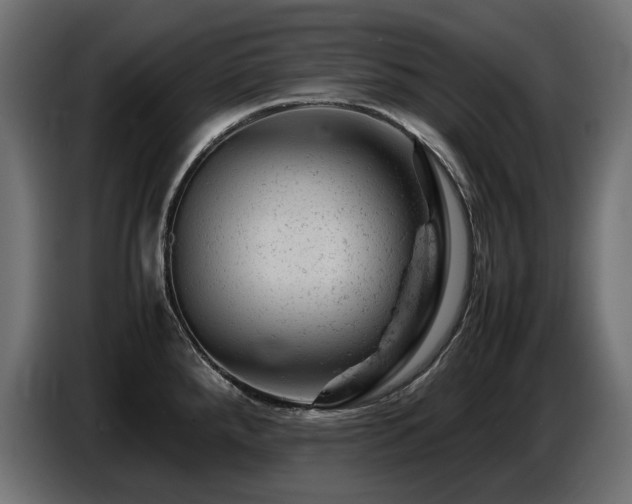 X0000087671288200705041004