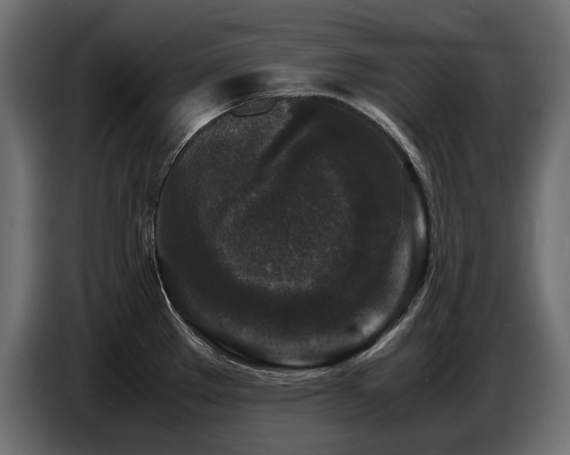 X0000087671289200705041004