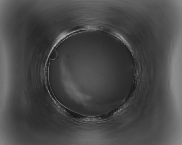 X0000087671291200705041004