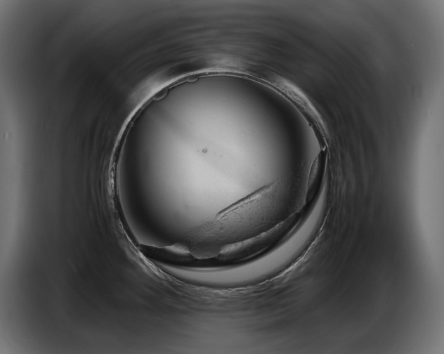 X0000087671292200705041004