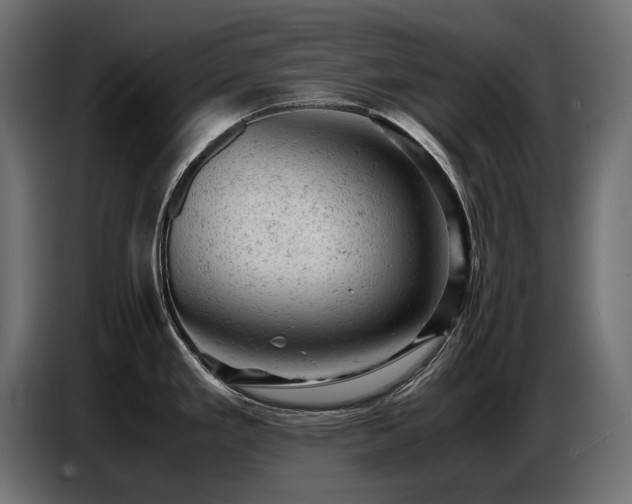 X0000087671293200705041004